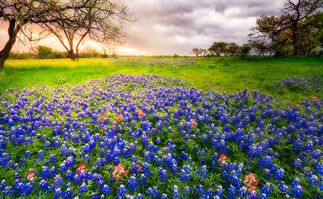frederickburg_tx2 frederickburg tx2